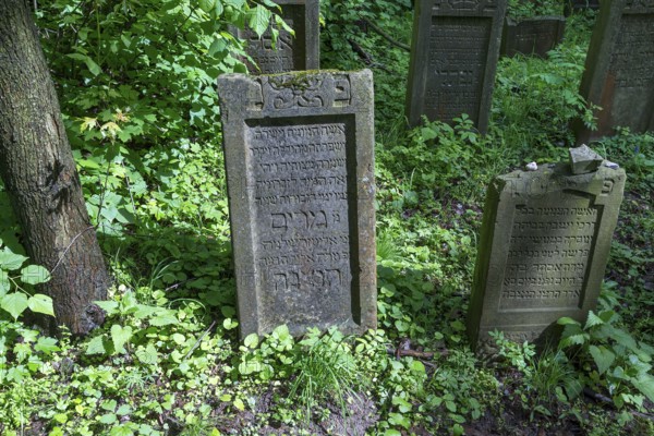 Tombstones at the Jewish cemetery in Lezajsk, Poland