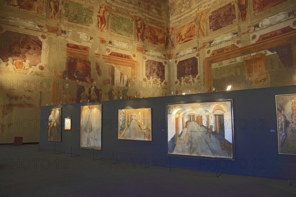 Gualtieri Palace, wall paintings and exhibition at Museo Documentario e Centro Studi Antonio Ligabue, Emilia-Romagna, Italy
