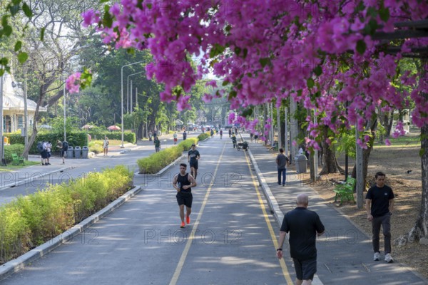Bangkok, Thailand. March 4th 2025. Lumphini Park in Bangkok, a popular green space for jogging or walking in the Thai capital