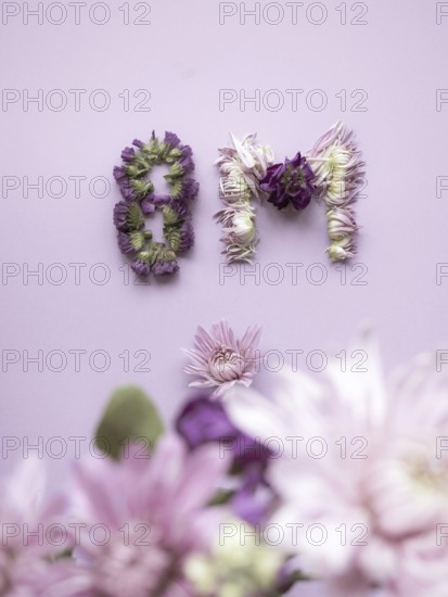 Floral composition creating the numbers 8m against a pastel background, celebrating international women's day