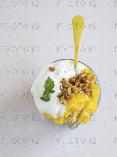 Healthy chia seed pudding with fresh mango, creamy yogurt, and crunchy granola, topped with mint