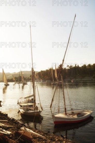 Aswan, Egypt. December 10th 2022 Felucca sailing boats at evening time at Elephantine Island on the River Nile, Aswan, Egypt