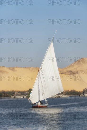 Cover image with copy space, a beautiful view of an Egyptian Felucca sail boat along the River Nile at Elephantine Island, A Nubian Village near Aswan, Egypt