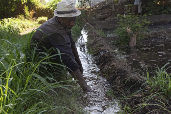 Aswan, Egypt. 9th December 2020 A Nubian farmer clears an irrigation ditch on his farm on the Nile River island of Elephantine, Aswan, Egypt