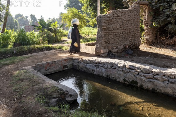 Aswan, Egypt. 9th December 2020 A Nubian woman carrying shopping walks past an irrigation channel on the Nile island of Elephantine, Aswan, Egypt