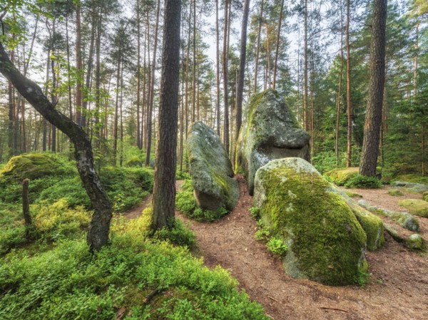 Geotope of God's hands, rock formation in pine forest, Lerautal near Leuchtenberg, Upper Palatinate, Bavaria, Germany