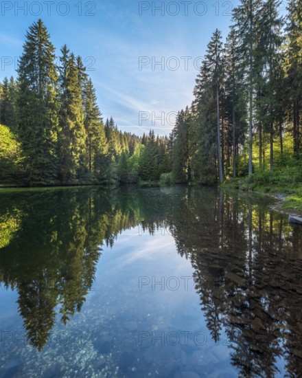 The Werrateich near the Rennsteig, Masserberg, Thuringian Forest nature park Park, Thuringia, Germany