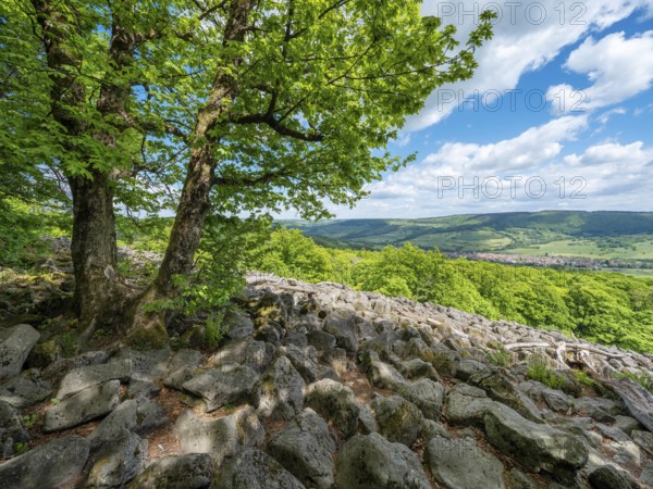 Blockheap on the Schafstein, former rock glacier, view over the Rhön countryside, Hessian Rhön, Gersfeld, Hesse, Germany