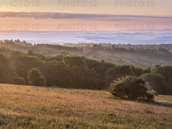 View of Rhön countryside with morning fog at sunrise, species-rich mountain meadow and forest, Rhön Biosphere Reserve, Bischofsheim in der Rhön, Lower Franconia, Bavarian Rhön, Bavaria, Germany