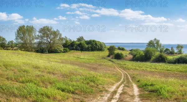 Hiking trail to Salzhaff, Baltic resort Rerik, Mecklenburg-Western Pomerania, Germany