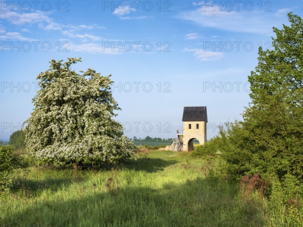 The early medieval Königspfalz Werla from the 10th century, reconstructed west tower of the castle complex with gate, Werlaburgdorf, Lower Saxony, Germany