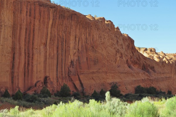 High red rock wall with vegetation at the bottom, Grand Staircase Escalante National Monument, Utah, USA