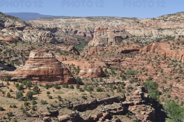 Wide view of a canyon landscape with red rocks, Grand Staircase Escalante National Monument, Utah, USA