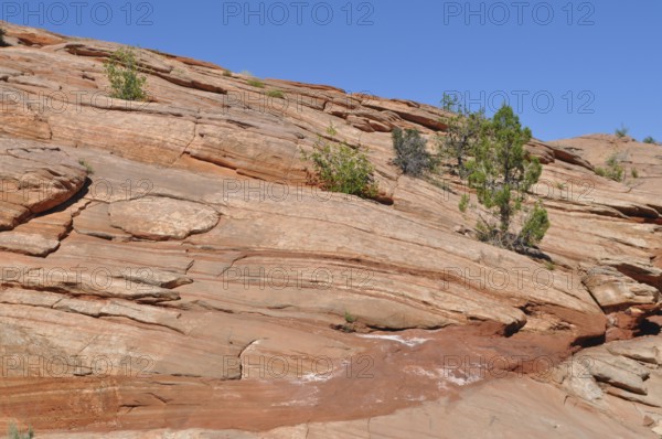 Large reddish rocks with visible layers and sparse plant growth under a blue sky, Grand Staircase Escalante National Monument, Utah, USA