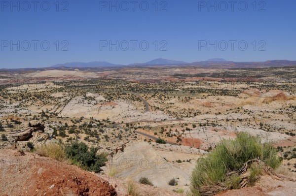Wide landscape with reddish rocks and sparse plant growth under clear blue sky, Grand Staircase Escalante National Monument, Utah, USA