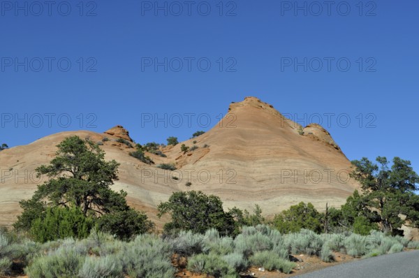 Layered rock hills in a desert landscape with trees, Grand Staircase Escalante National Monument, Utah, USA