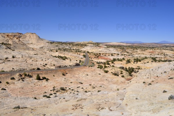 Paved road winds through dry landscape with reddish hills and sparse vegetation, Grand Staircase Escalante National Monument, Utah, USA