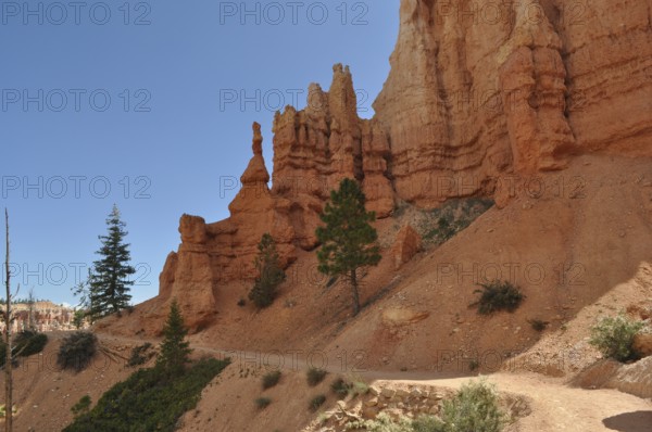 Trail leads past bizarre red rock needles and pine trees in Bryce Canyon National Park, Utah, USA