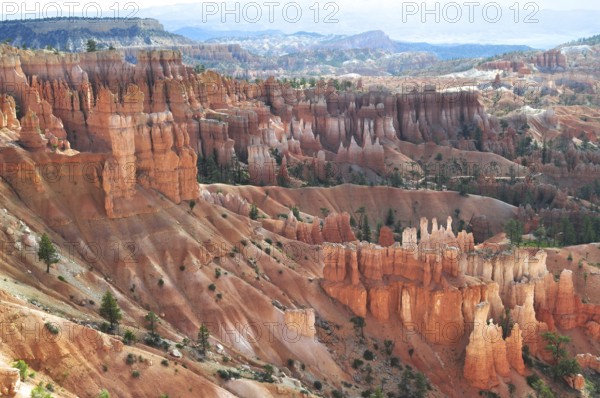 Impressive rock formations and canyons with isolated trees in Bryce Canyon National Park, Utah, USA