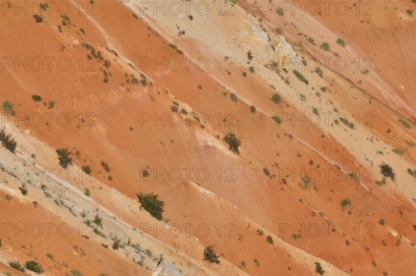 Close view of orange rocks with minimal vegetation, Bryce Canyon National Park, Utah, USA