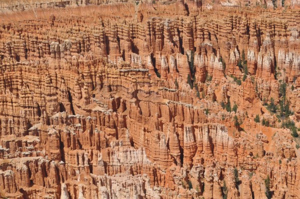 Close-up of impressive rock formations in bright orange, Bryce Canyon National Park, Utah, USA