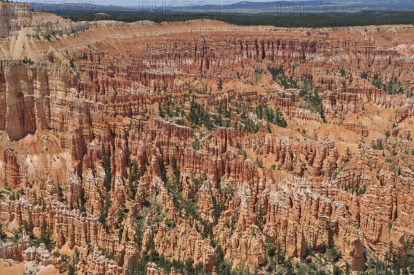 A spectacular view of a vast red rock landscape with numerous gorges and canyons, Bryce Canyon National Park, Utah, USA