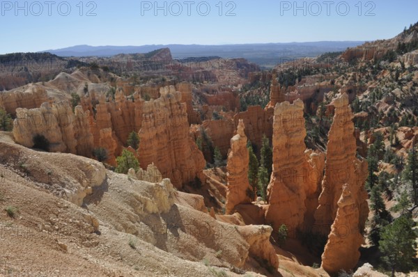 Red rock formations with trees in a canyon landscape with blue sky, Bryce Canyon National Park, Utah, USA