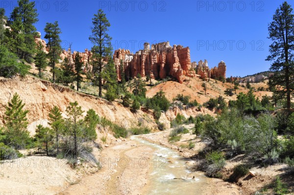 A small river flows through a landscape of distinctive rock formations and forest, Bryce Canyon National Park, Utah, USA