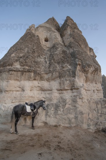 Cappadocia, Turkey. November 8th 2017 A horse tethered to volcanic rock at Lucky Horse Ranch, Goreme, Cappadocia, Turkey