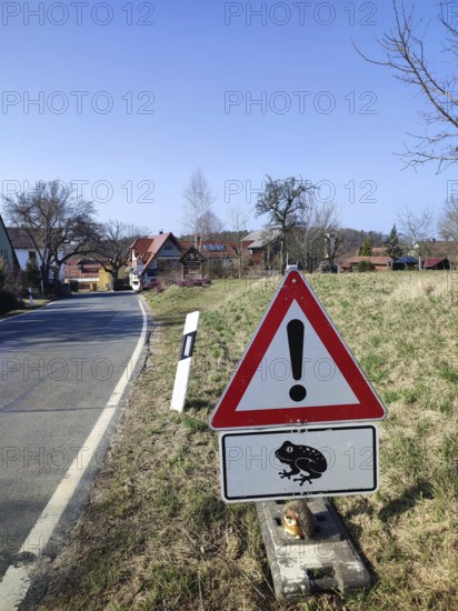 Caution sign with frog symbol (rana) on a rural road, animal protection in the Franconian Forest nature park Park