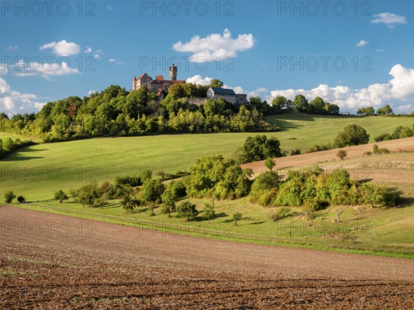 Field landscape in Wetterau in summer under blue sky with cumulus clouds, Ronneburg in the background, Hesse, Germany