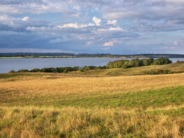 Hilly landscape in the Zicker Mountains in the evening light, including Zicker Alps, view over the lagoon landscape under dramatic stormy clouds, Mönchgut nature reserve, Gross Zicker, Mönchgut peninsula, Rügen island, Mecklenburg-Western Pomerania, Germany