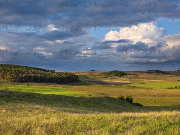 Hilly landscape in the Zicker Mountains in evening light under dramatic stormy clouds, including Zicker Alps, Mönchgut nature reserve, Gross Zicker, Mönchgut peninsula, Rügen island, Mecklenburg-Western Pomerania, Germany