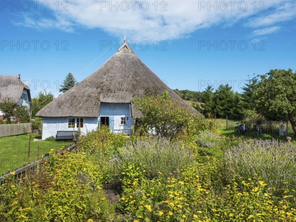 The thatched parish widow's house from 1719 with cottage garden, museum in Groß Zicker, Mönchgut peninsula, Rügen island, Mecklenburg-Western Pomerania, Germany