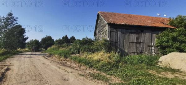 Rural scene with storks (ciconia) on a barn and a dusty dirt track, Masuria, Poland
