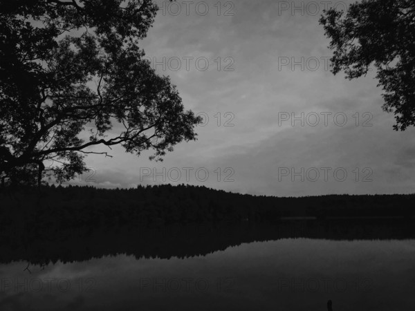 Quiet evening on a Masurian lake with trees in the background, monochrome, Olsztyn, Masuria, Poland