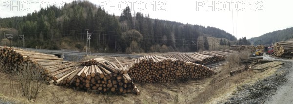 Panoramic photo, tree trunks of spruce (picea) destroyed by the bark beetle (scolytinae) stacked for transport along a path in a climate change caused natural disaster by drought in the Franconian Forest nature park Park near Steinbach am Wald, Rennsteig, Germany
