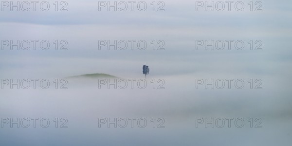 Landscape at sunrise around Volterra, Pisa province, Tuscany, Italy