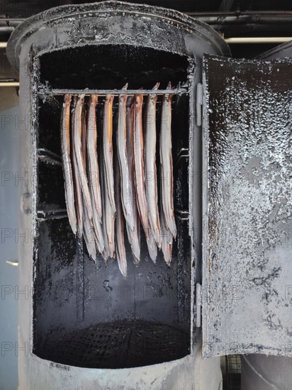 Smoker with hanging fish in a traditional cooking environment, Berlin
