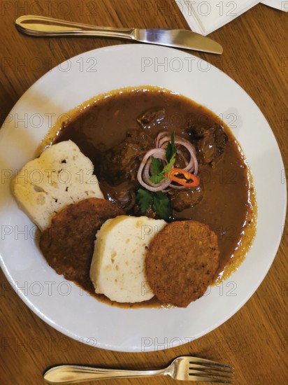 Delicious dish, Czech goulash on a plate with bread dumplings, meat garnished in sauce and onions, Czech Republic