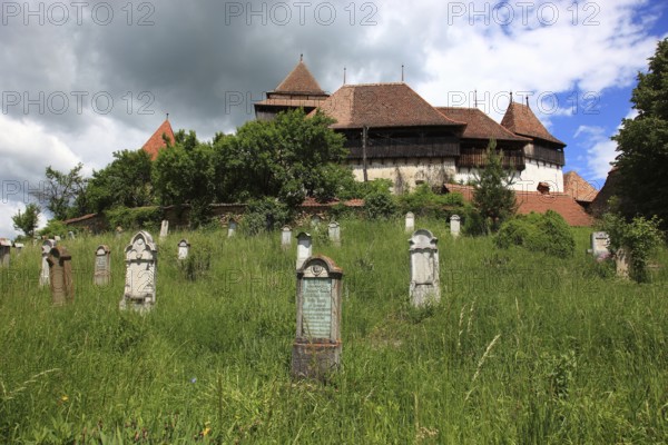 Romania, the fortified church and cemetery of Viscri, German German Weisskirch a town in the district of Brasov, Transylvania, UNESCO World Heritage Site