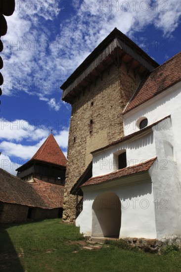 Romania, in the courtyard of the fortified church of Viscri, German German Weisskirch a town in the district of Brasov, Transylvania, UNESCO World Heritage Site