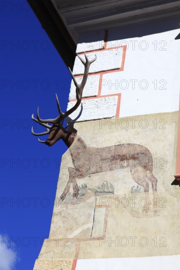 Romania, house with deer antlers, Casa cu Cerb in the historic old town of Sighisoara, German Sighisoara, town in Mures district in Transylvania, UNESCO World Heritage Site