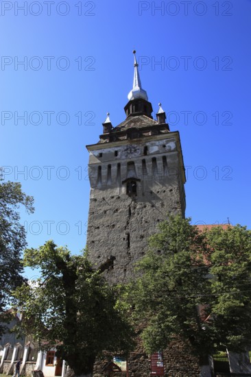 Romania, the bell tower of the church of Saschiz, German Keisd, a community in Mures County, Transylvania, Unesco