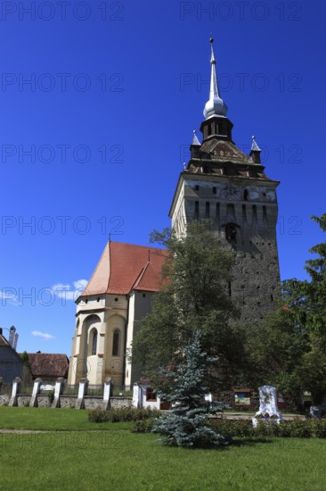 Romania, the church tower and church of Saschiz, German Keisd, a community in Mures County, Transylvania, Unesco