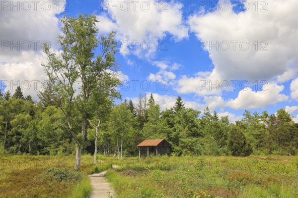 Former peat hut on a green meadow under a clear blue sky with white clouds, Wurzacher Ried Nature Reserve, Bad Wurzach, Ravensburg District, Baden-Württemberg, Germany