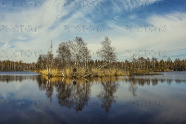 Calm lake with trees and clouds reflecting in the water. Autumn atmosphere with blue sky, Pfrunger-Burgweiler Ried, Großer Vogelsee, Wilhelmsdorf, Ravensburg district, Baden-Württemberg, Germany