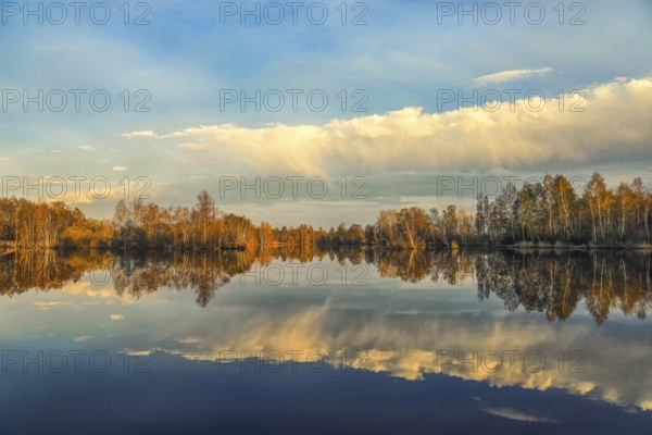 Tranquil landscape with autumn trees reflecting in the still lake, surrounded by a blue sky with clouds, Pfrunger-Burgweiler Ried, Nillsee, Wilhelmsdorf, Ravensburg district, Baden-Württemberg, Germany