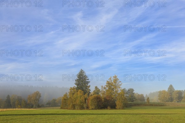 Autumn landscape with hazy sky and meadows in the foreground, surrounded by trees, Upper Danube nature park Park, Irndorfer Hardt Nature Reserve, Irndorf, Tuttlingen District, Baden-Württemberg, Germany