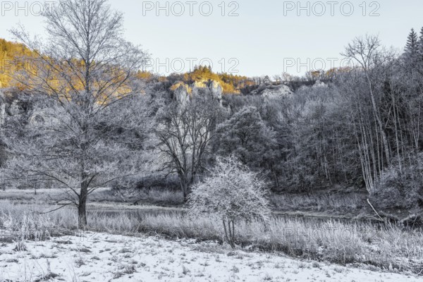 Snowy landscape with trees, the Danube and Jurassic limestone cliffs in the morning sun, Upper Danube nature park Park, Fridingen, Tuttlingen district, Baden-Württemberg, Germany